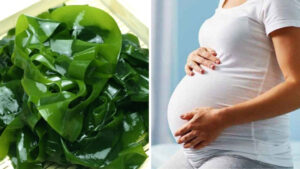 rong biển cho bà bầu